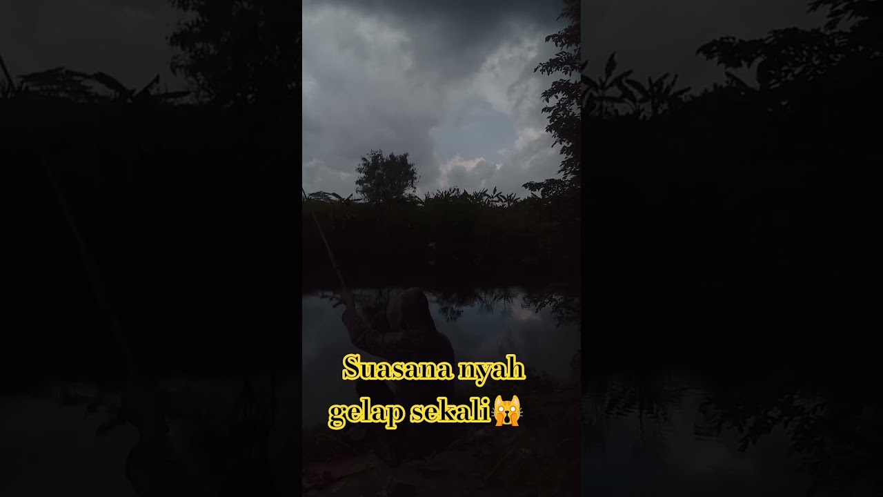 #vyf