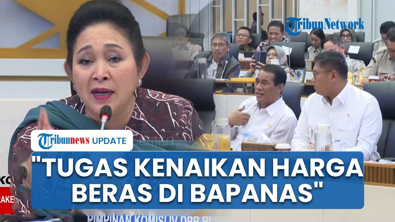Mentan Amran Minta DPR Perjelas Pihak yang Urus Harga Beras RI, DPR: Wewenangnya di Bapanas