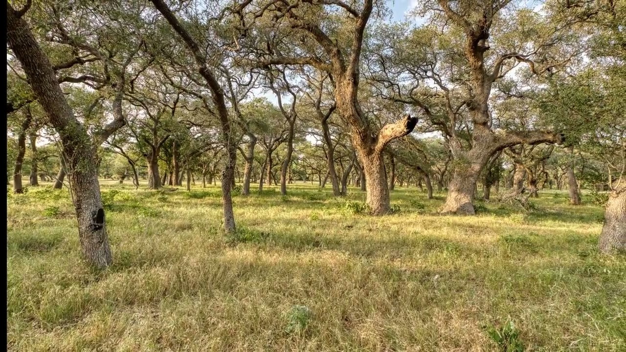 2420 Hugo Rd | Mark Connally - Broker