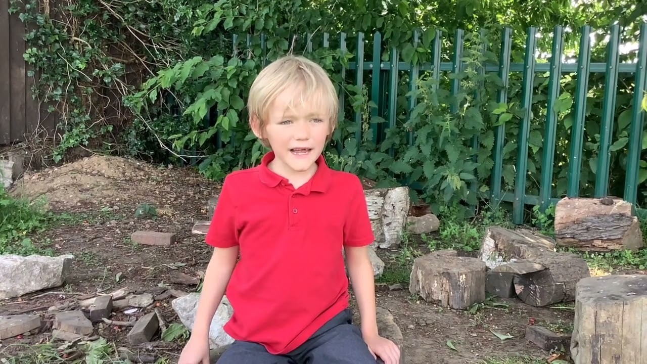 British Values - Democracy - Alvaston Infant and Nursery School