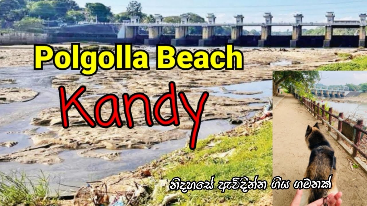 පොල්ගොල්ල බීච් ගියා ඇවිදින්න |Polgolla Beach |Kandy |Pogolla Dam | Relaxing
