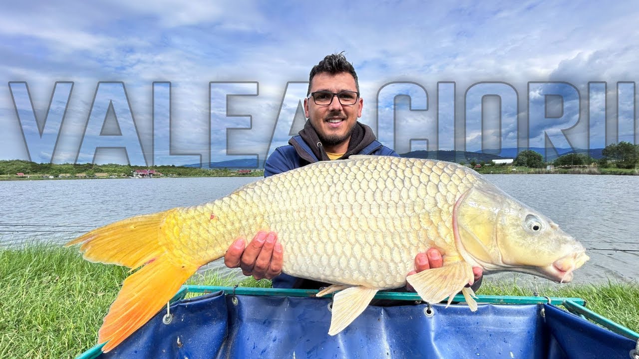 Ep.09 - Ne-a ciuruit grindina + #Crap frumos #Balta #ValeaCiorii