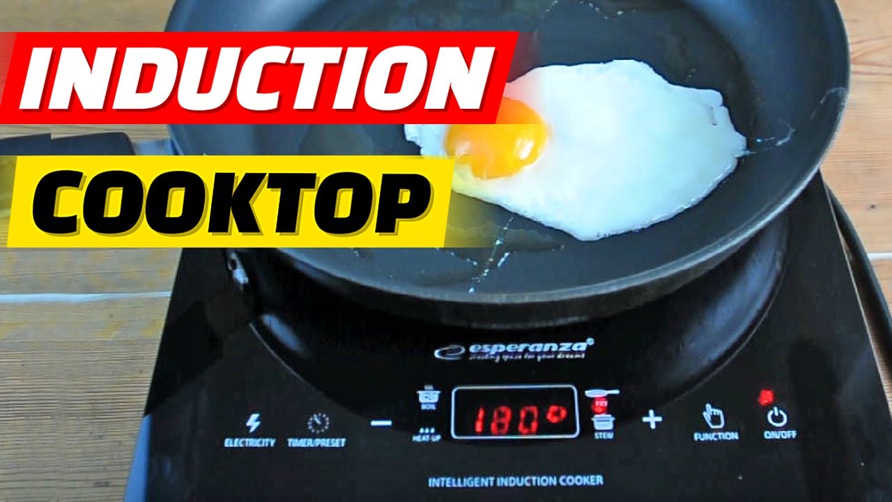 Portable Induction Cooktop | Esperanza Induction Hot Plate | Induction Burner Unboxing and Testing