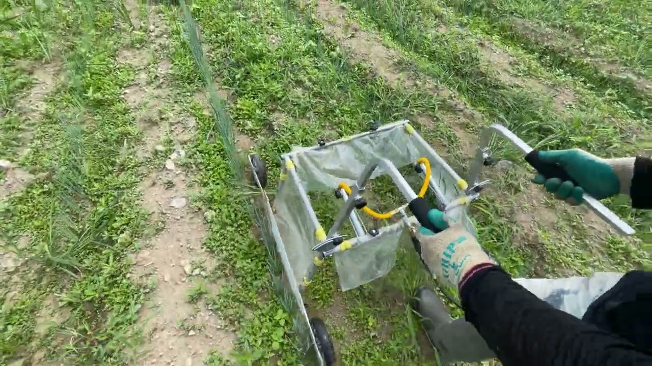 「畝が曲がってても不均等でも、株元にピッタリ合わせて」 畝間の除草剤散布器 白ネギ アジャスタブルスプレーヤ