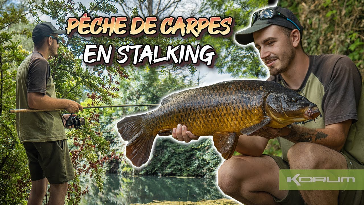PÊCHE DE CARPES EN STALKING | Pêche en stalking avec Thomas, repérage et stratégies.