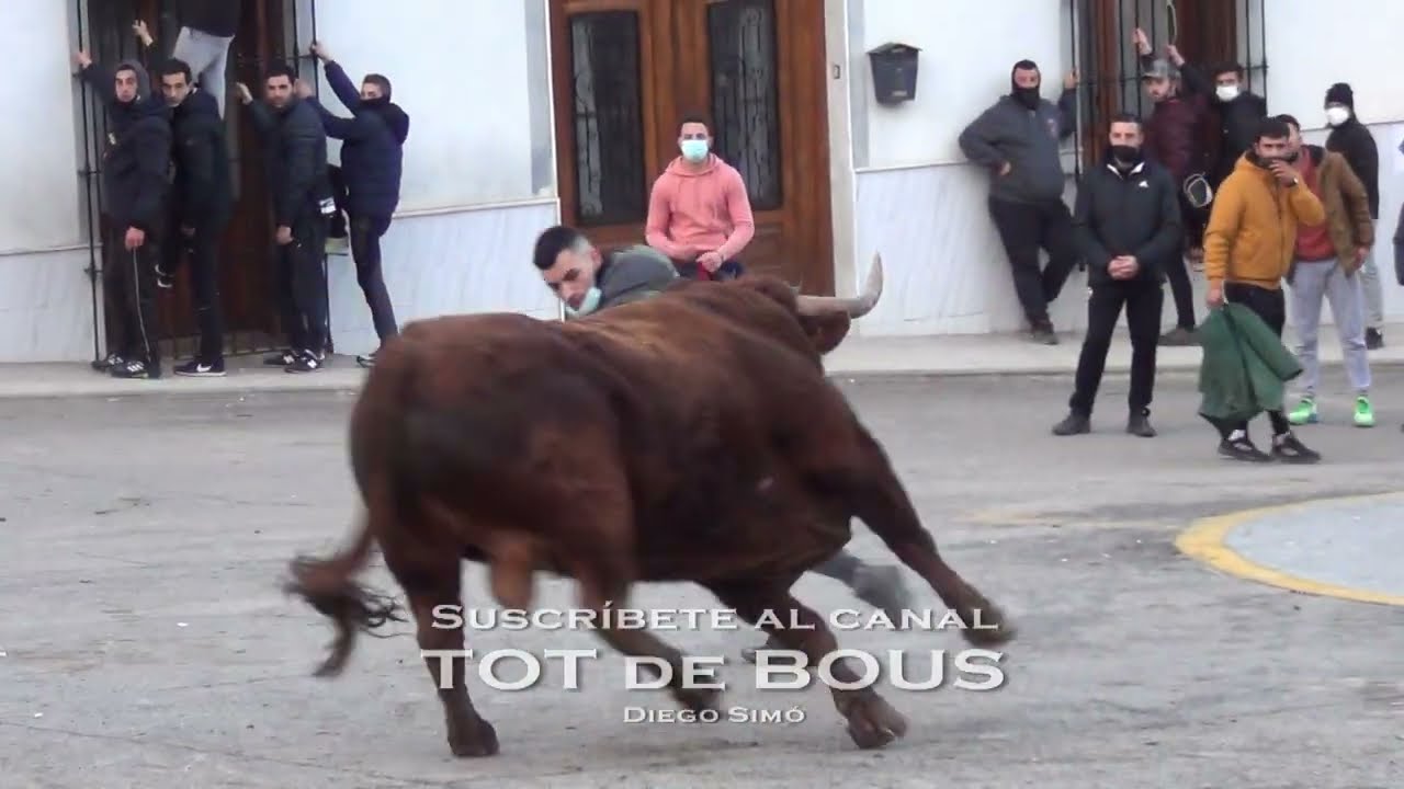 2022/01/22 GILET - TARDE GANADERIA HNOS. GANUZA - ARTAJONA ( NAVARRA )