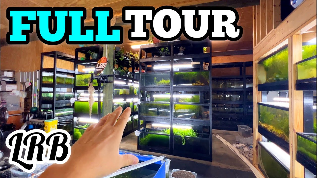 Last Tour Before It Changes! Fall 2023