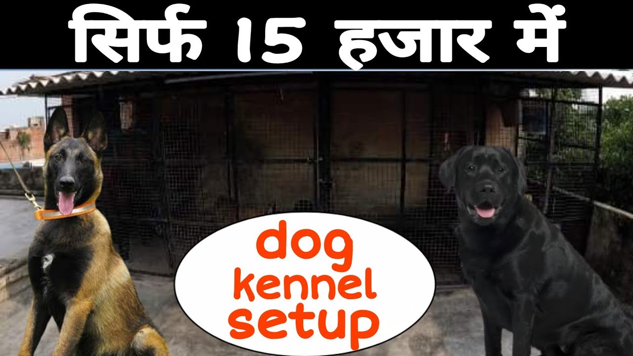 सिर्फ 15000 हजार में Dog Kennel ready ||dog kennel ideas || dog kennel in india || my first vlog