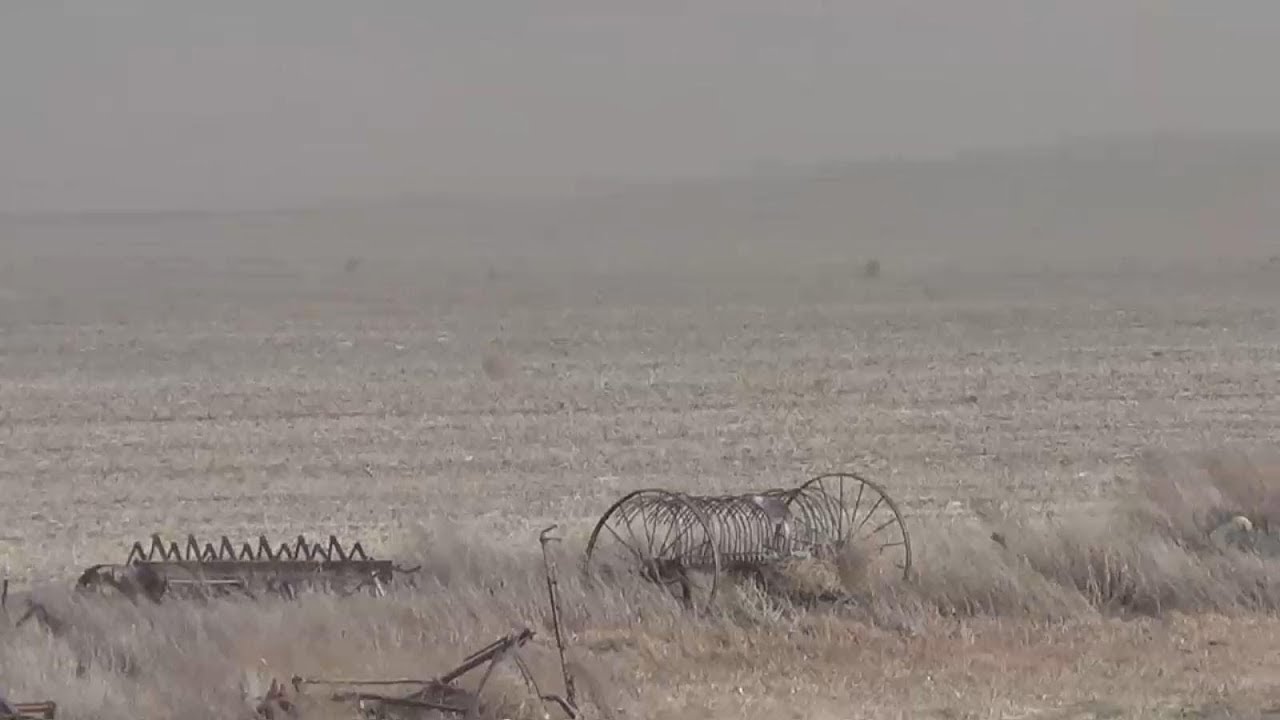 50 mph wind