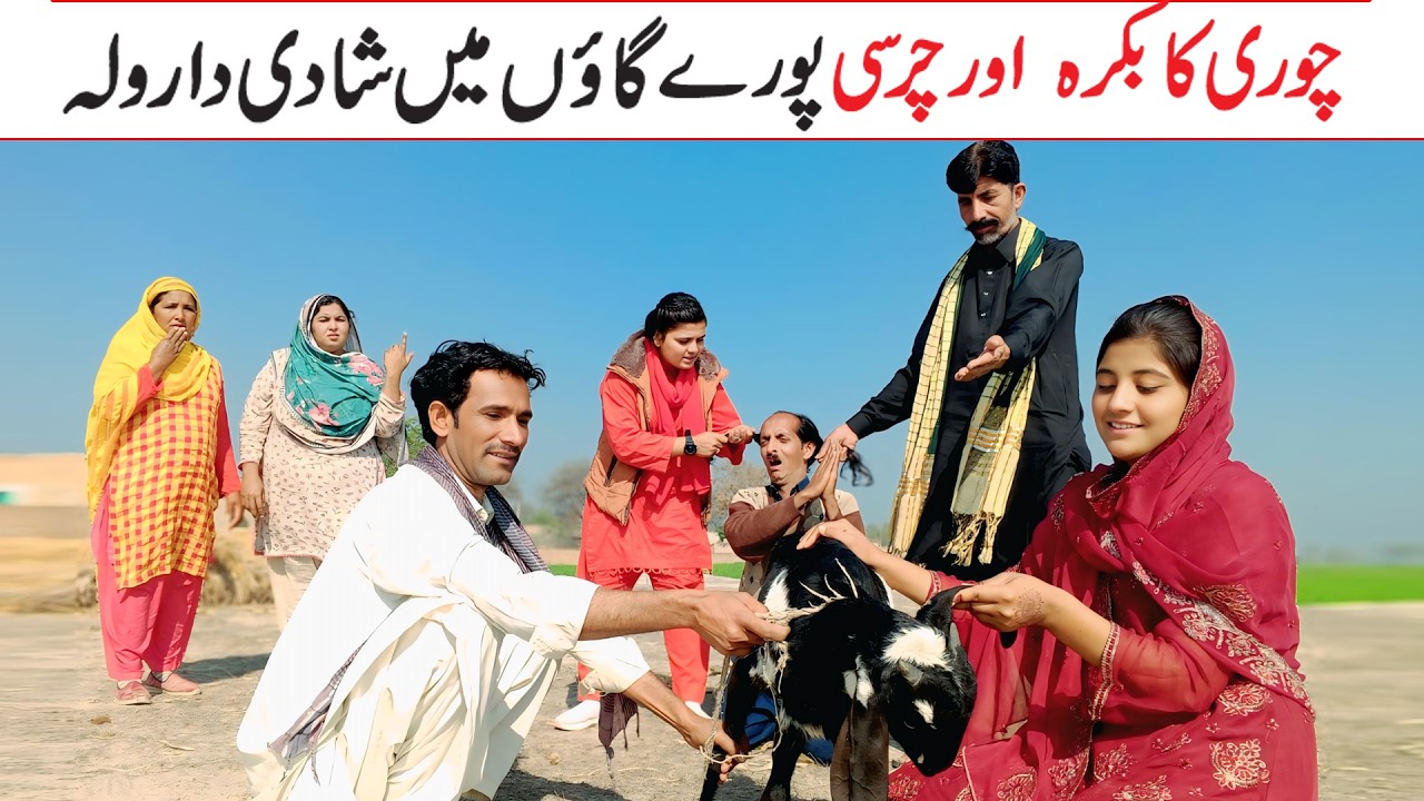 Top comedy Most Viral Videos 2026 Ramzi noori Falak Sher Lale juqnu totyshah dukki #funny 