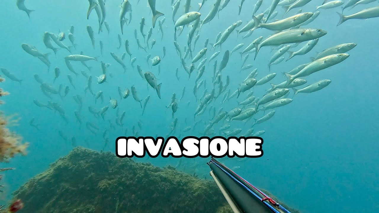PESCASUB | INVASI dai PREDATORI