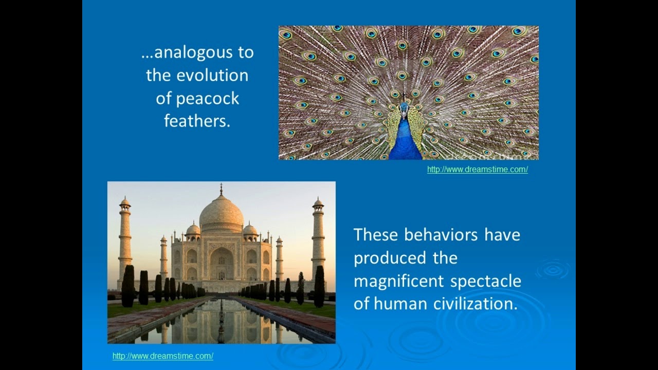 Purpose Driven Life - A psychiatrist's evolutionary perspective on human motivation