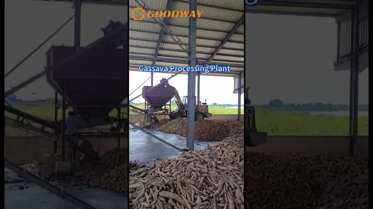 Cassava Processing Plant