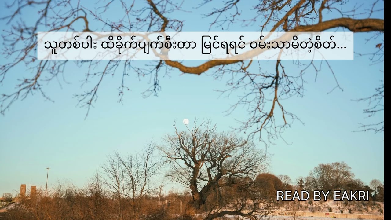 သူတစ်ပါး ထိခိုက်ပျက်စီးတာ မြင်ရရင် ဝမ်းသာမိတဲ့စိတ်…🌿🌿🌿