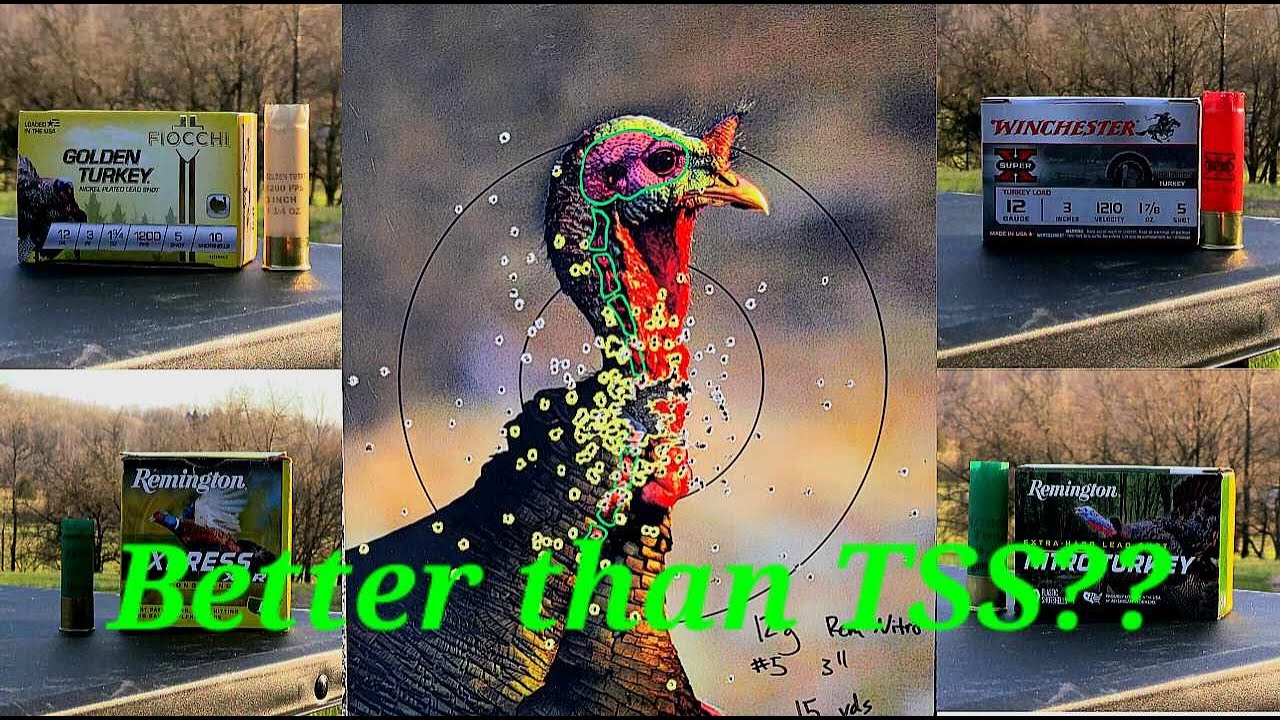 Patterning Budget Turkey Loads
