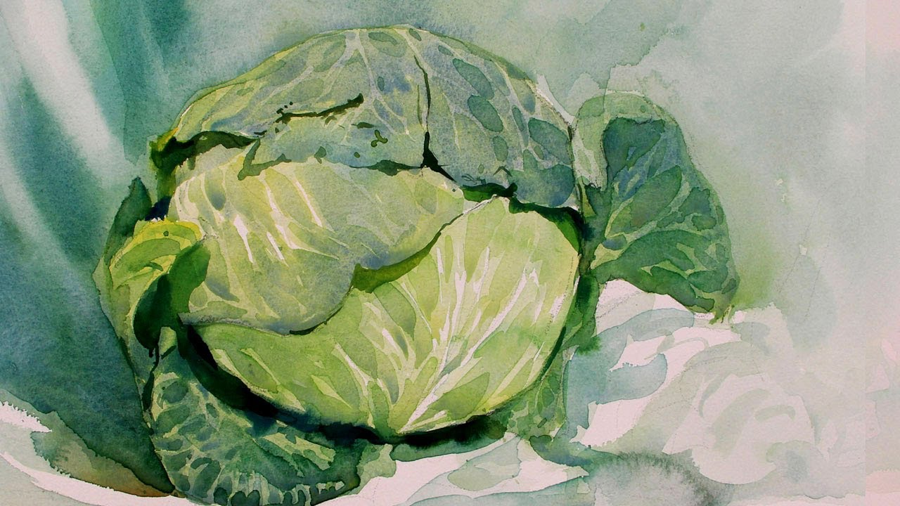How To Draw A Cabbage In Watercolor Still-life |  Paint A Cabbage | Watercolour Glazing and Layering