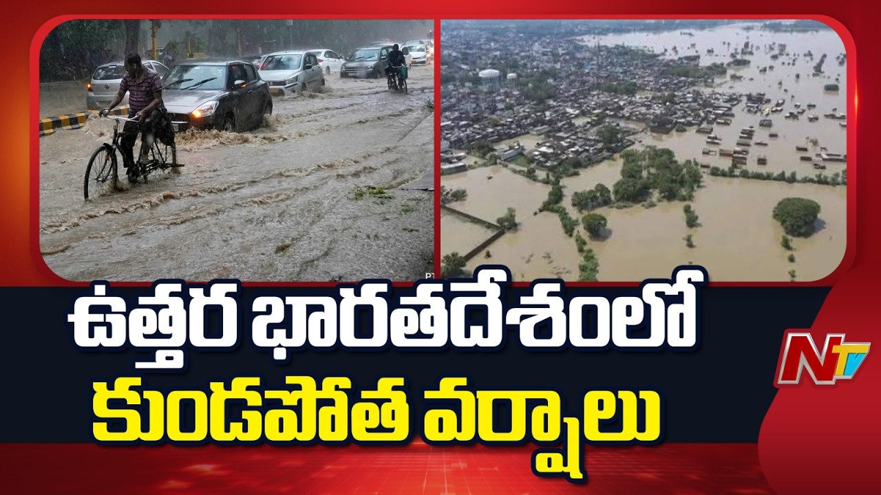 Heavy Rain Alert: IMD Issues Red Alert for Several States | North India Rains | NTV Telugu
