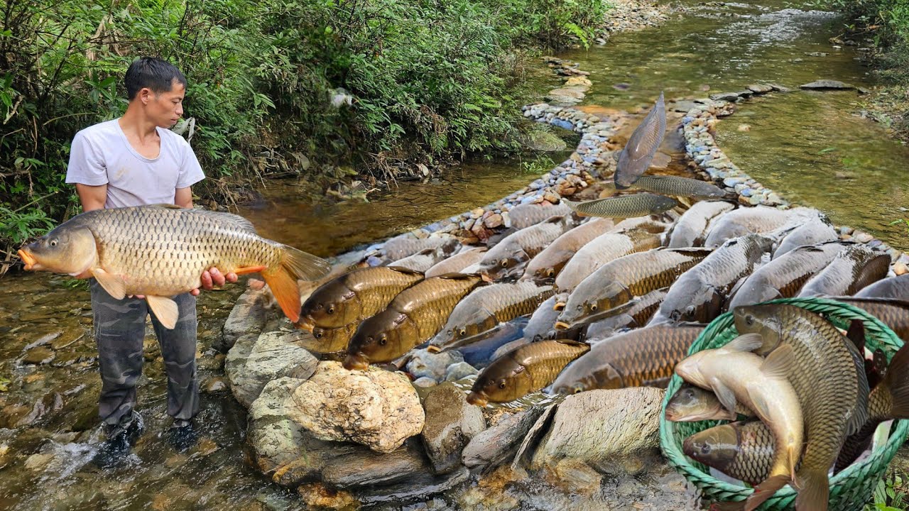 Young CEO's journey leaving the city: catching giant fish with his own hands in the wild