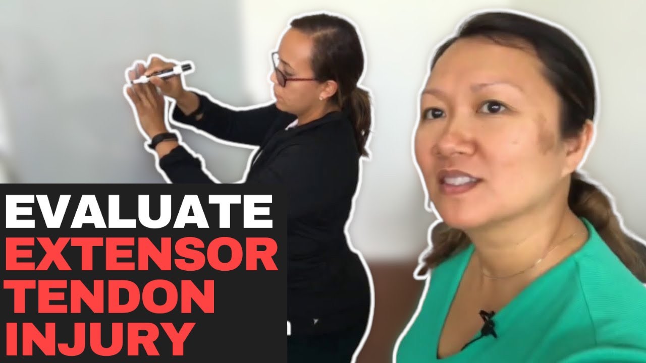 How To Evaluate A Extensor Tendon Injury - For Hand Therapist