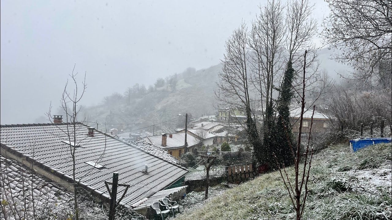 Navidad 2025❄️ #snow 