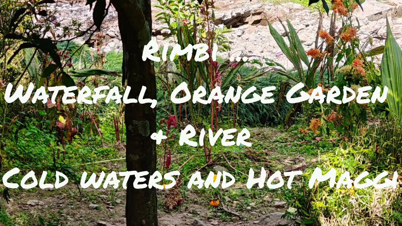 Waterfall, Orange Garden and the River at Rimbi, Pelling, Sikkim...A magical experience!!!