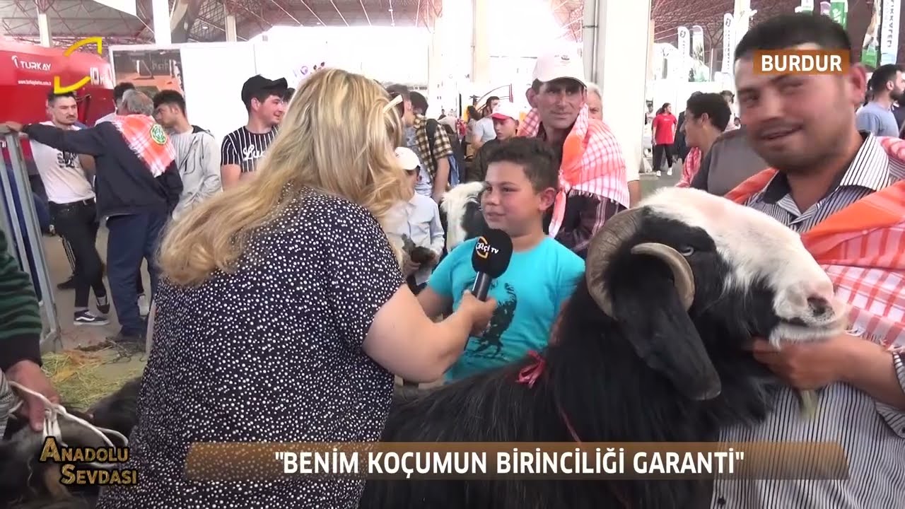 ANADOLU SEVDASI   BURDUR KOÇ TEKE YARIŞMASI