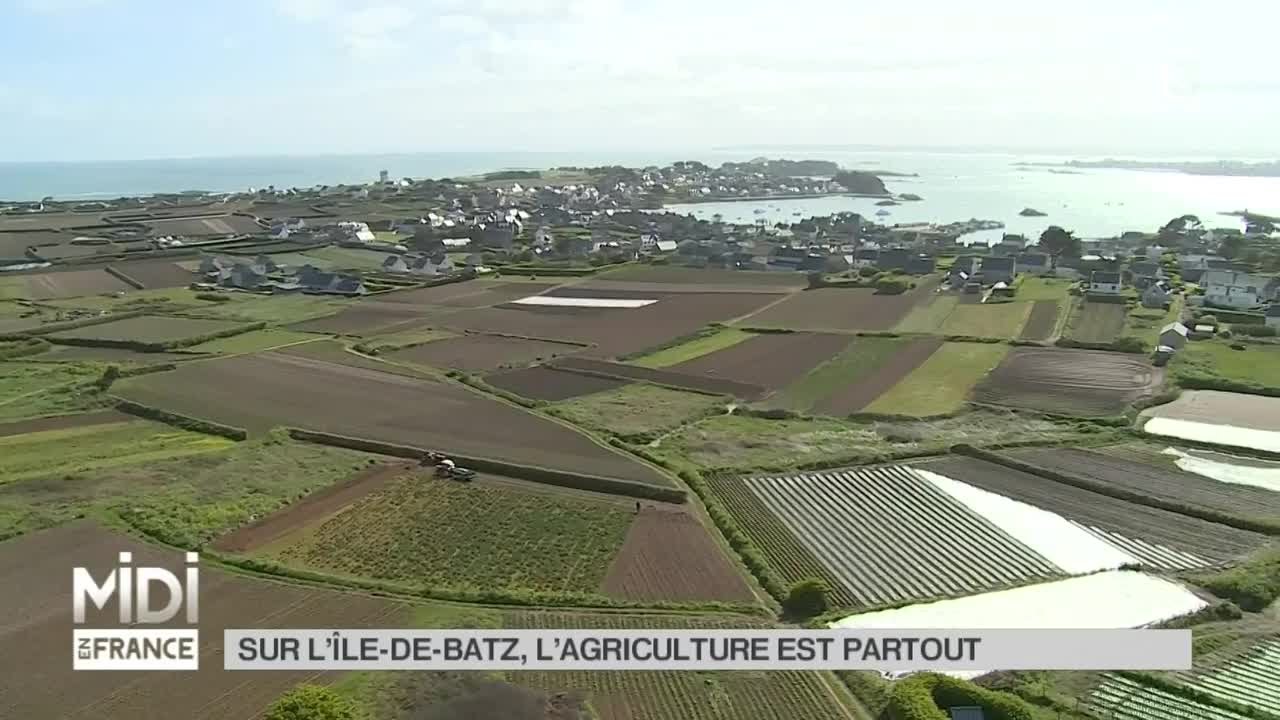 FEUILLETON : Sur l'Île-de-Batz, l'agriculture est partout