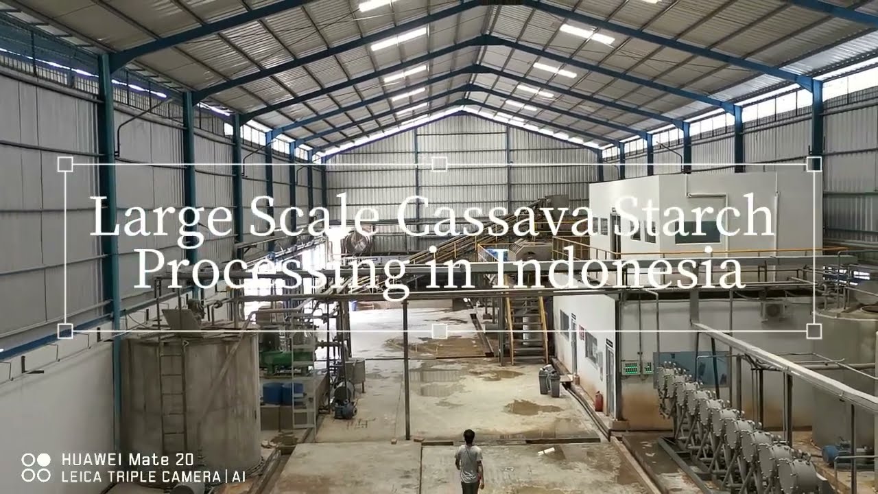 Large Scale Cassava Satrch Processing Plant in Indonesia Cassava Starch Processing Machine of DOING
