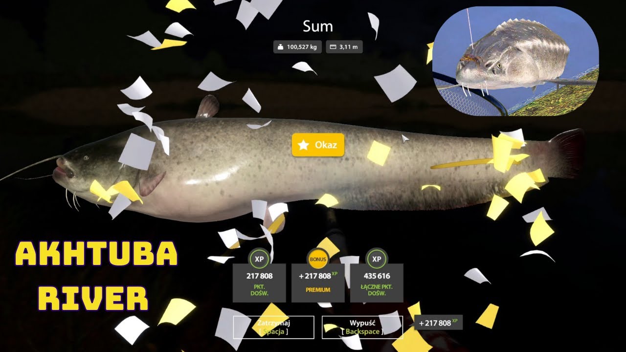 Trophy Catfish & Sturgeon spot Akhtuba River  #mjplay | Russian Fishing 4