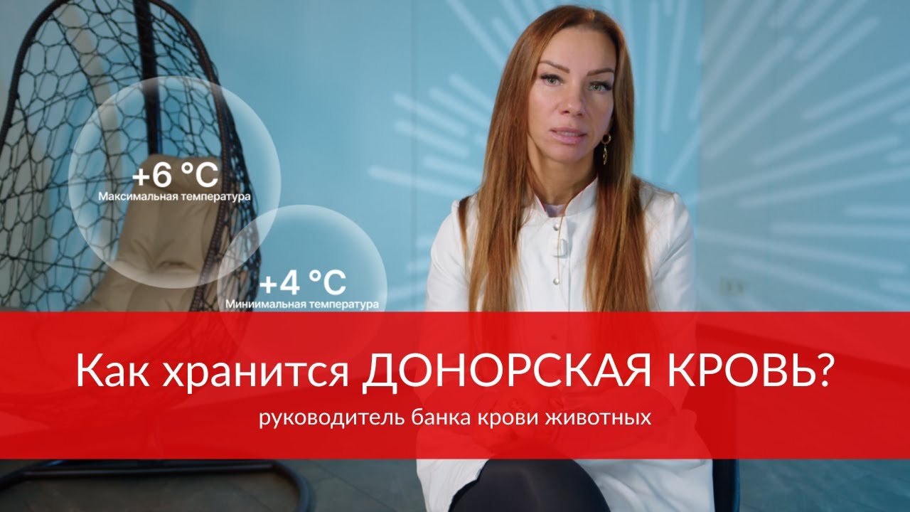 Сколько живёт донорская кровь и как хранится?