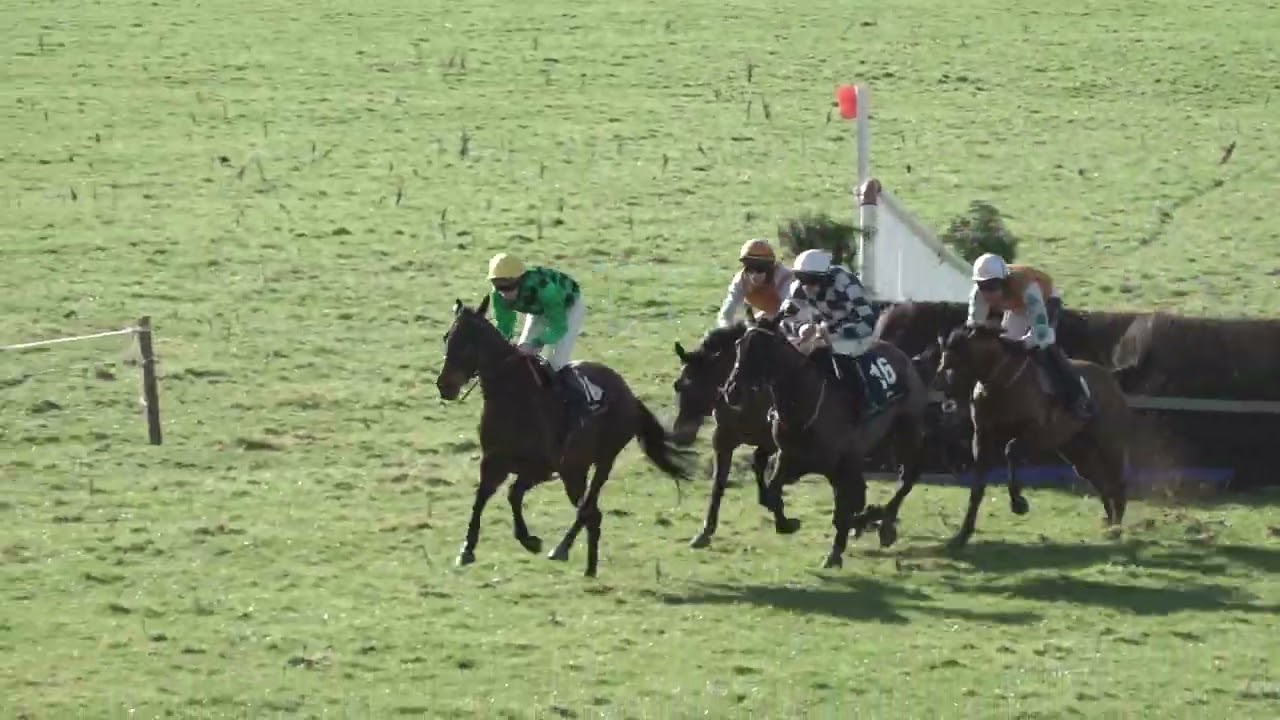 P2P - Comea - 08 Feb 26 - R1 Goffs 4yo Maiden