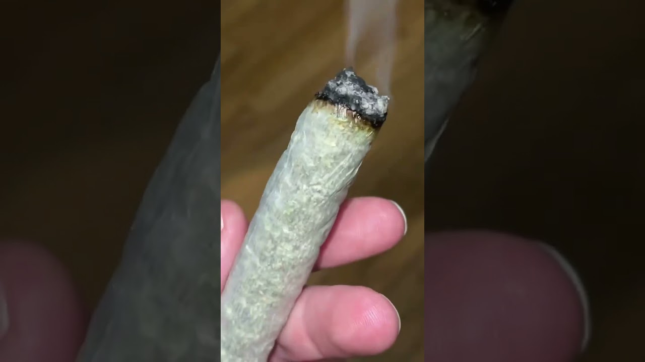 Can you guess how many g&rsquo;s in this fat cannagar? 👀🔥