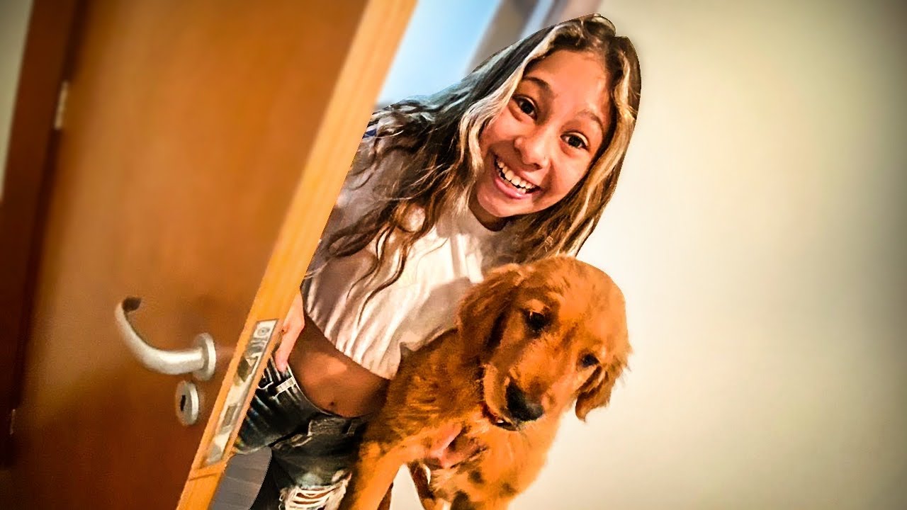 ESCONDI O NOSSO NOVO CACHORRO!!