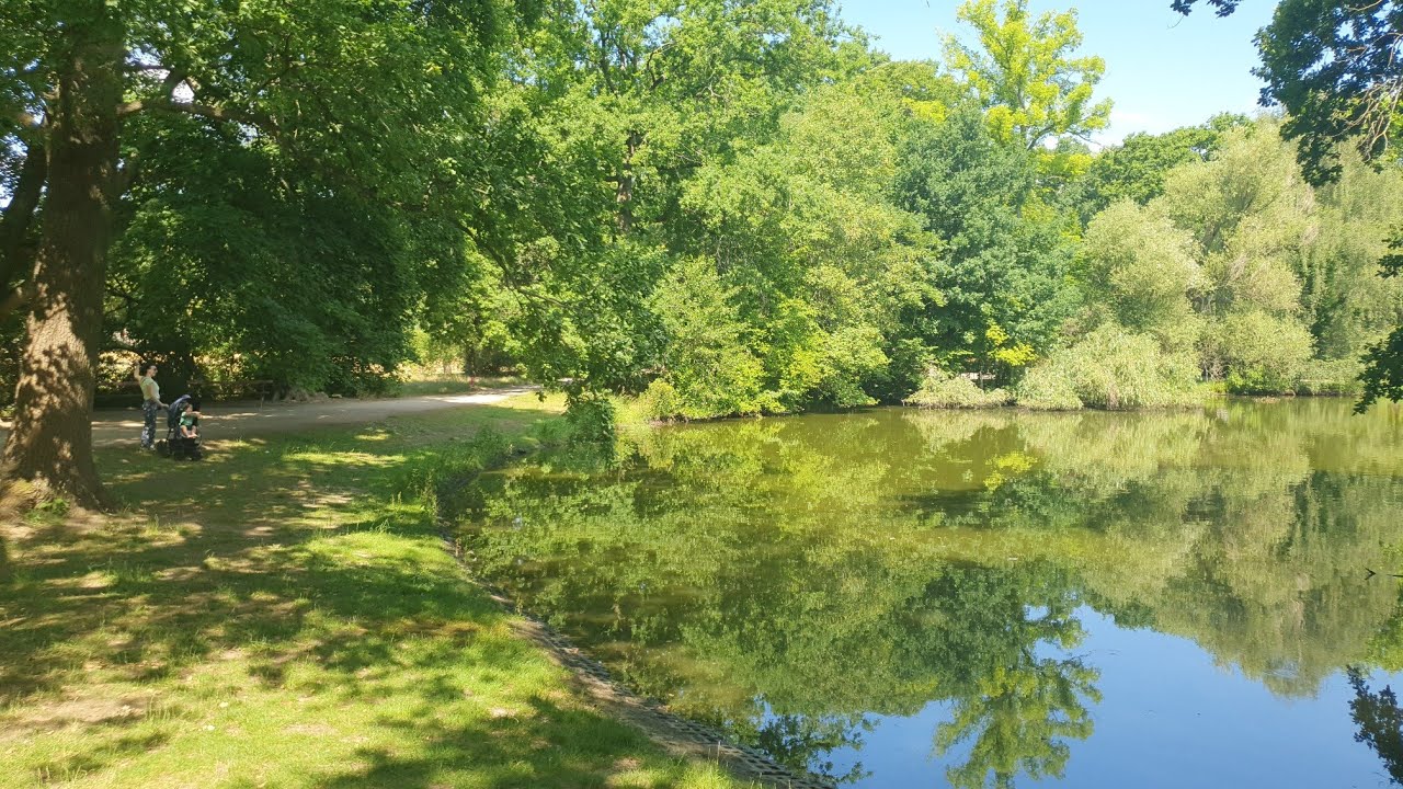 Spaziergang im Clara Zetkin Park bei 38 Grad Wetter #leipzig #sachsen #spaziergang #hitze