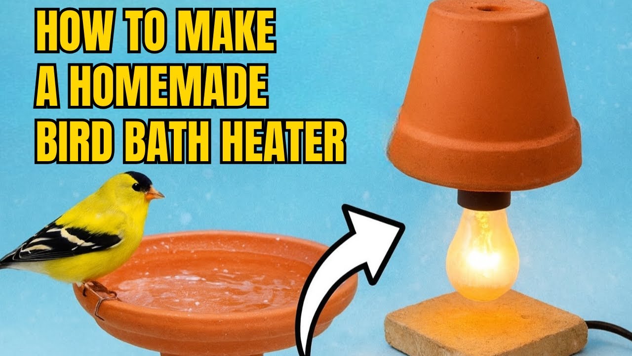 How to Make a Homemade Bird Bath Heater