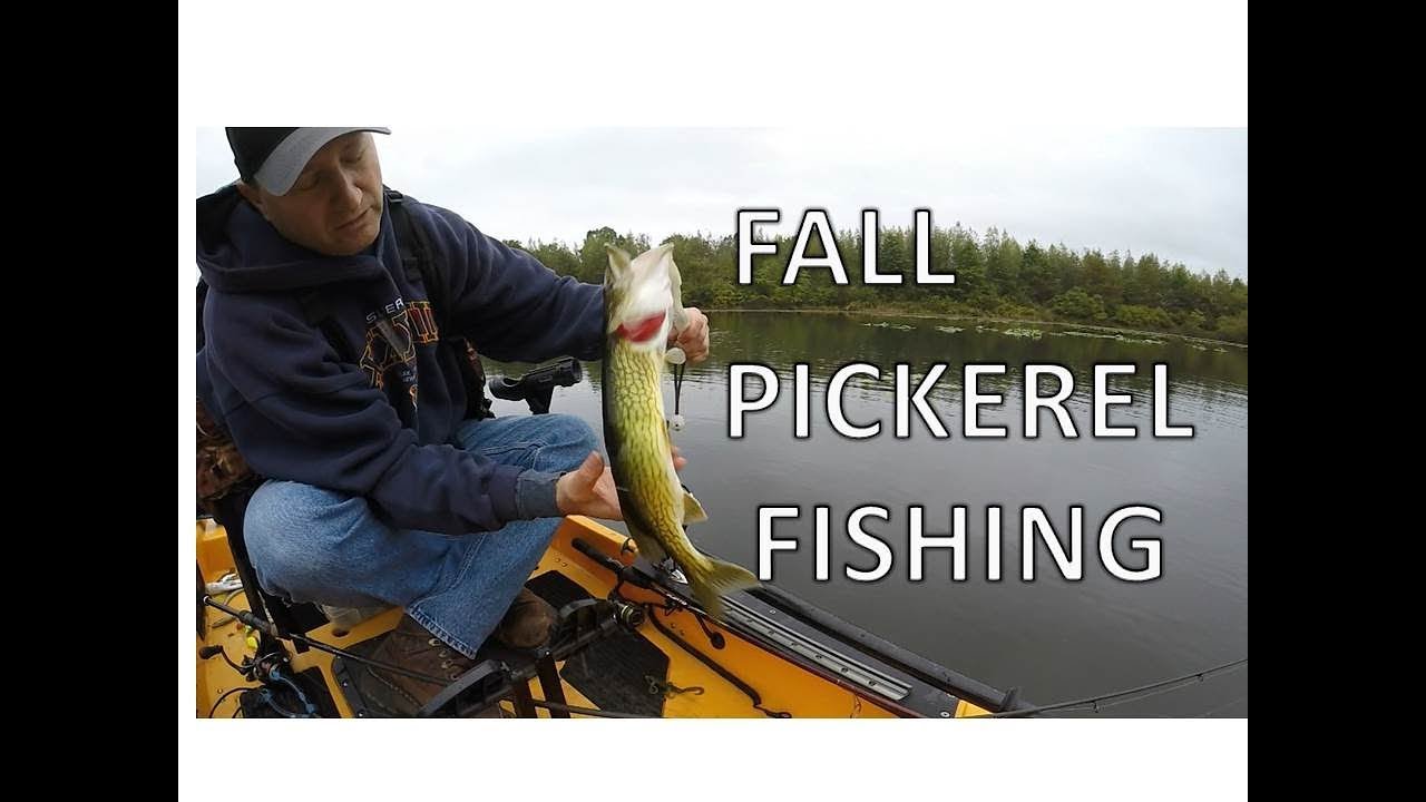 Fall Pickerel Fishing