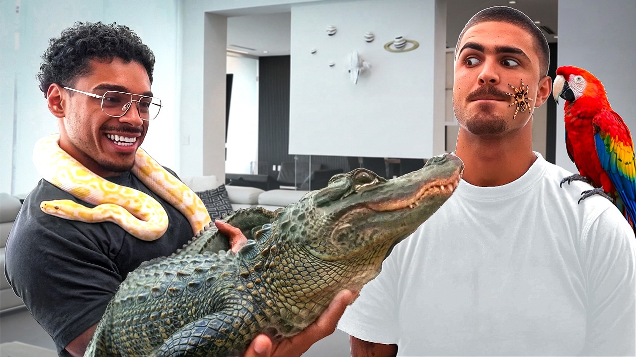 TJR & Timeeh Turned House Into a Zoo…