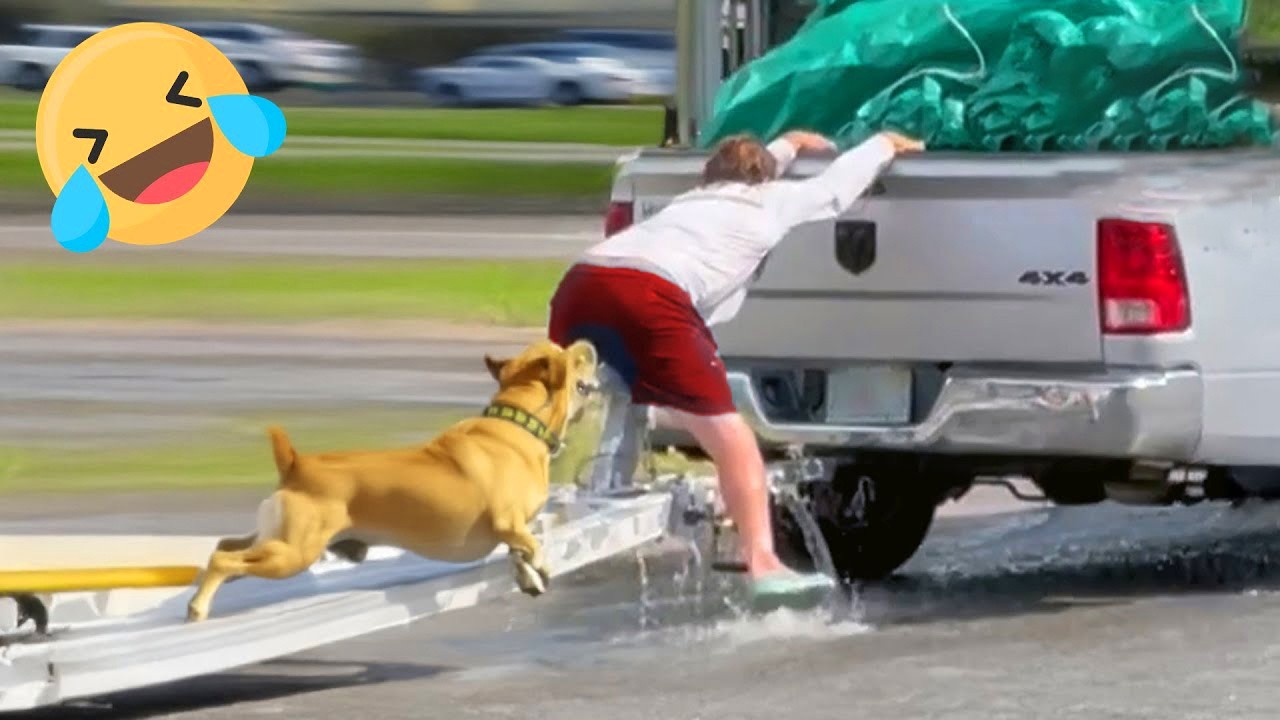 Instant Regret Fails Compilation 2026 | Funny & Hilarious People Life 😆 Best Fail Of The Week #116