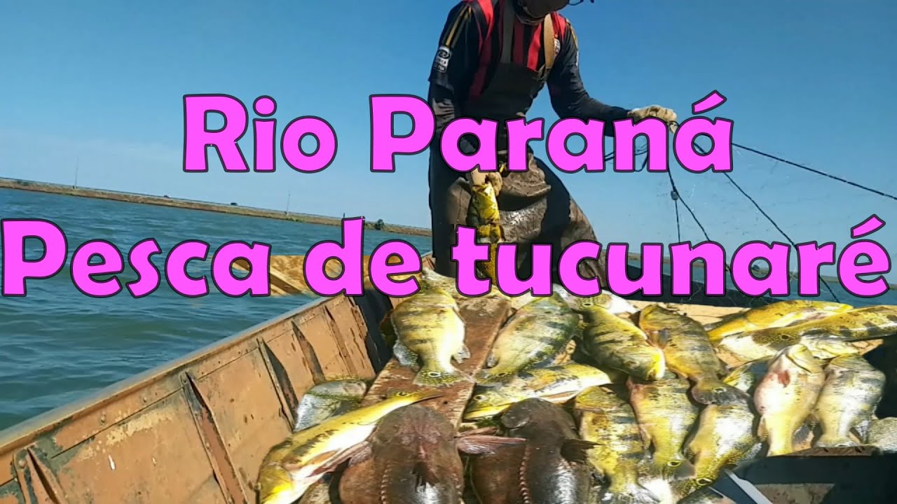 PESCARIA DE TUCUNAR&Eacute; COM REDE DE ESPERA \ FISHING WITH BRAZIL NET