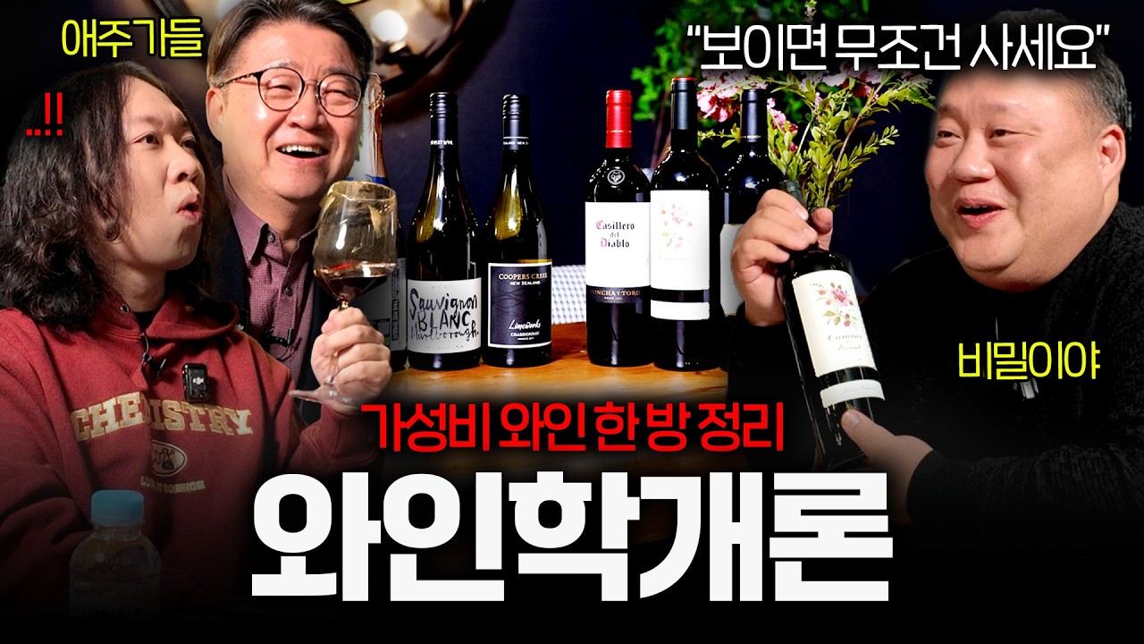 30년 와인 전문가도 마시고 감탄한 가성비 와인 TOP6 | 마셔보다 EP.10