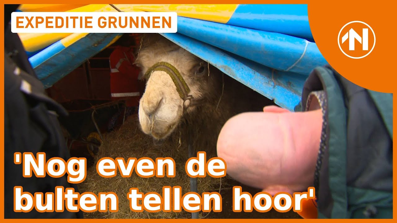 Het circus staat in Winschoten!