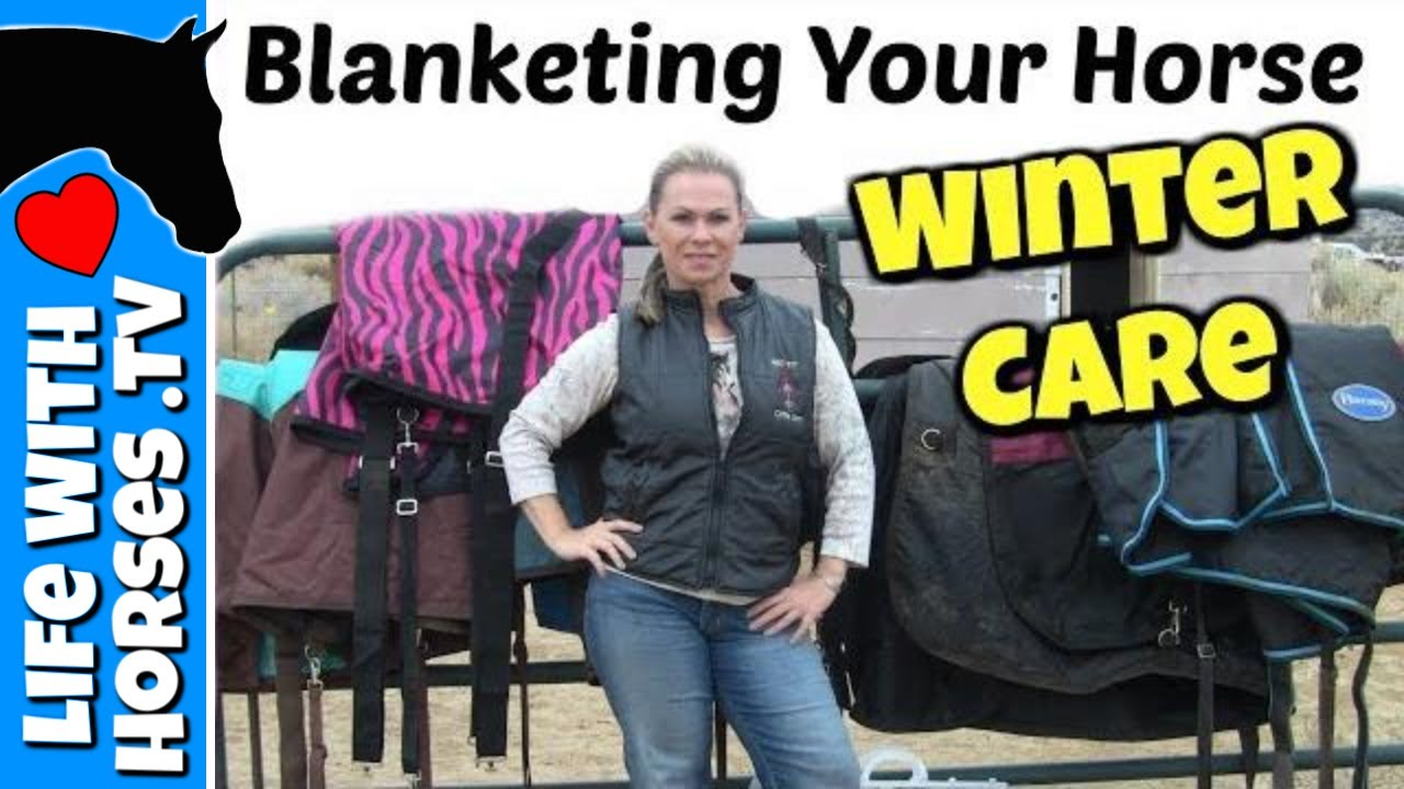 How I Use Sheets & Winter Blankets for my Horses- Winter Care for Horses