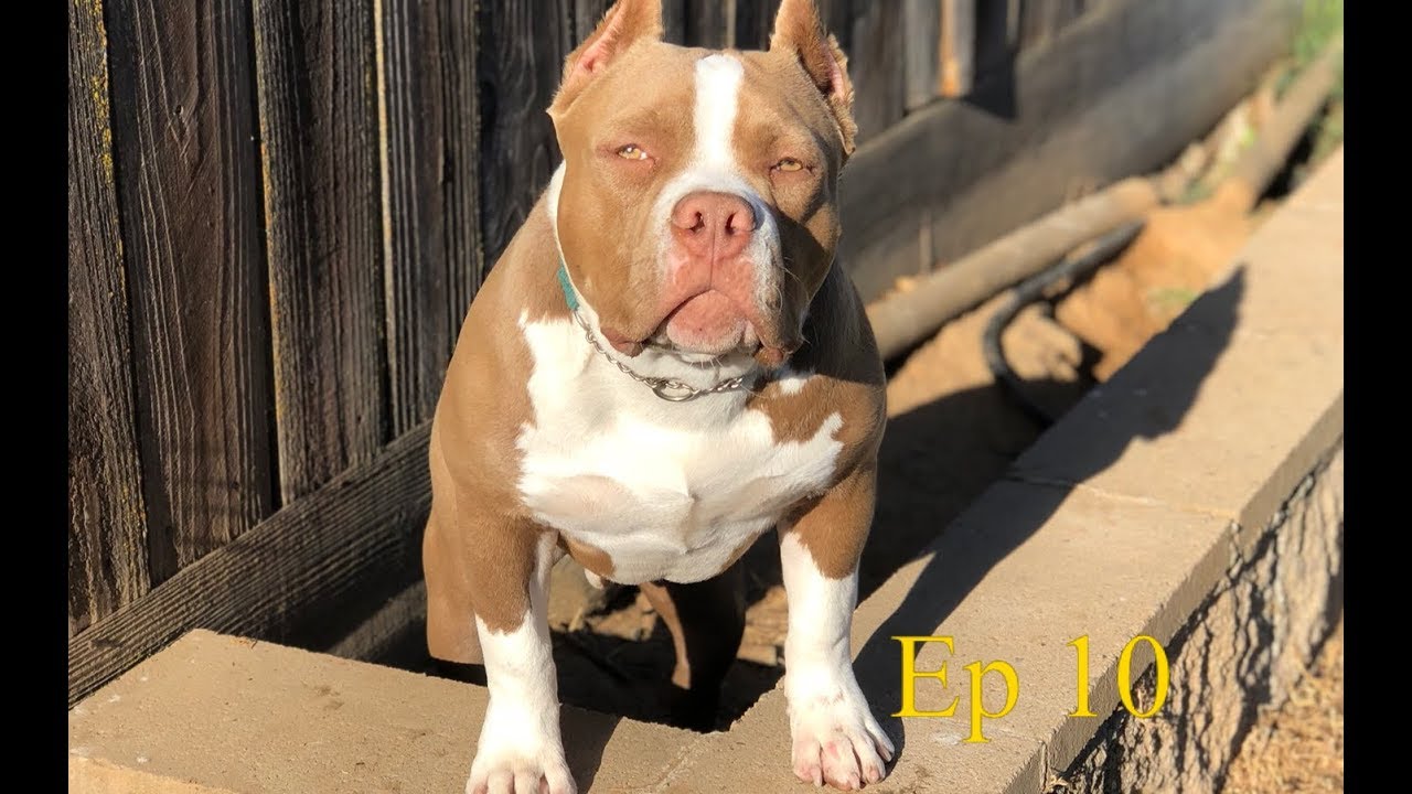 Growing Up Iron Man 6 month update
