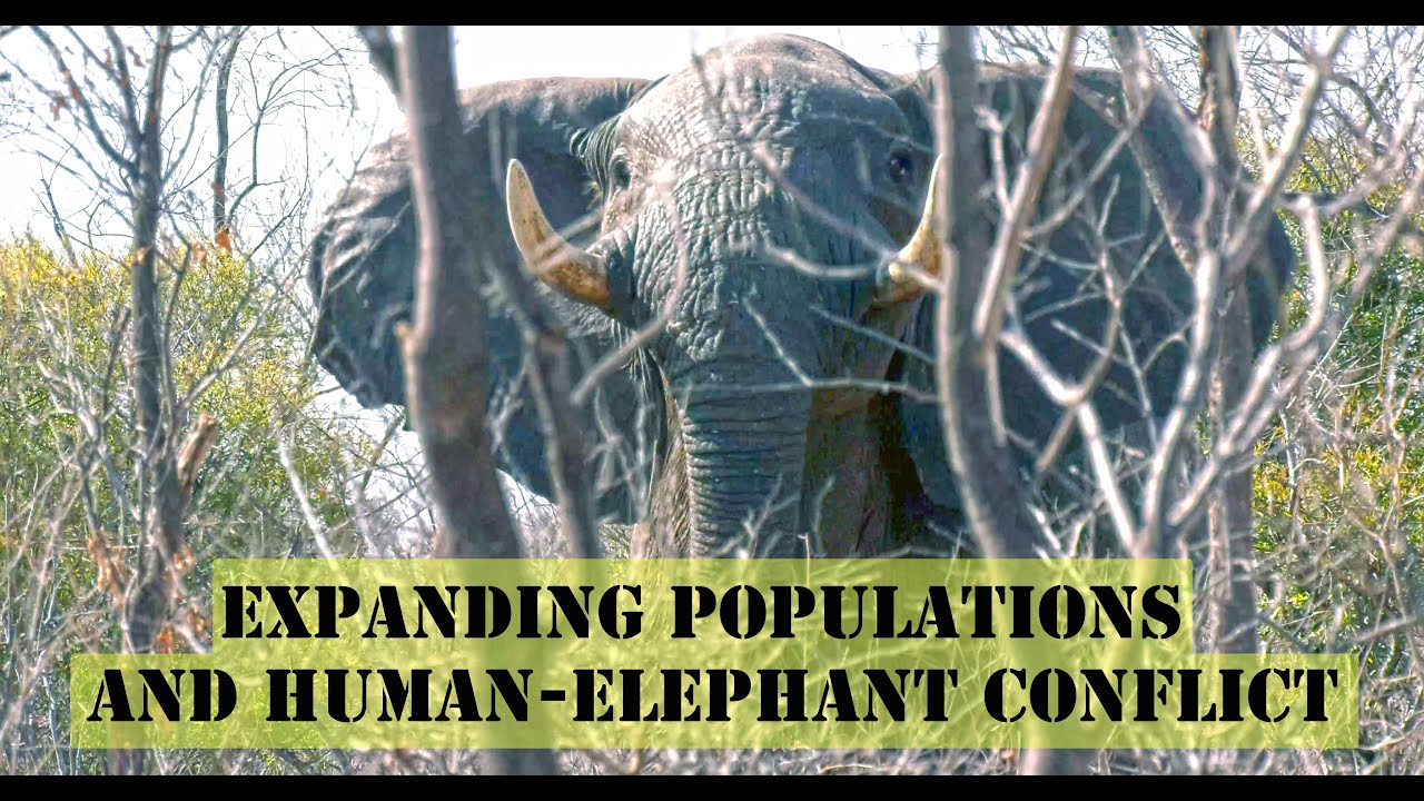 Expanding Populations and Human-Elephant Conflict