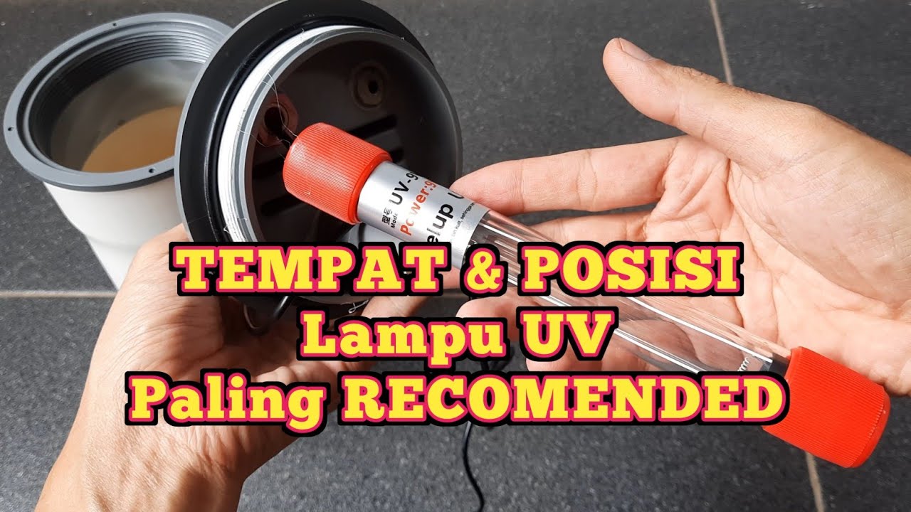Cara memasang Lampu UV yang aman pada Aquarium agar air makin jernih dan ikan tetap sehat