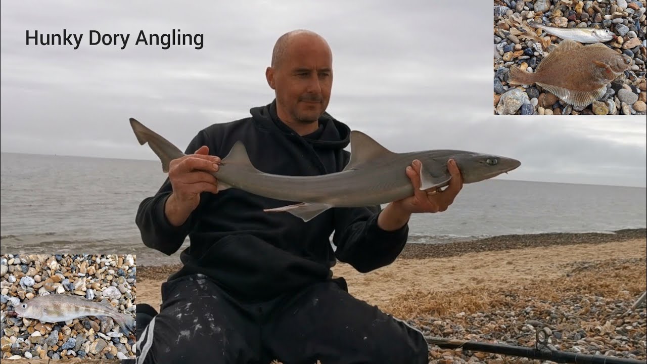Great Yarmouth North Beach #cod #Smoothhound - Sea Fishing UK