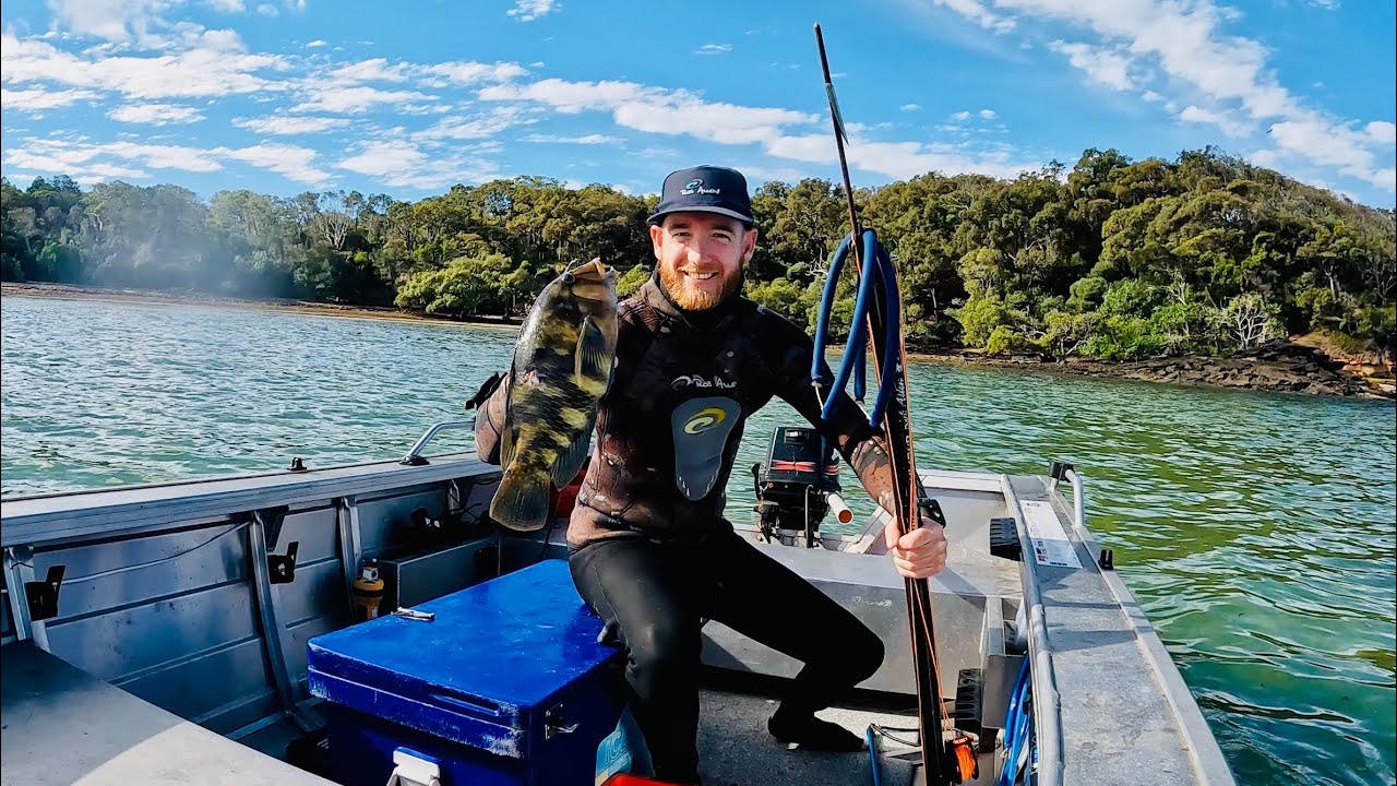 Solo Spearfishing Catch & Cook | Shark Encounter