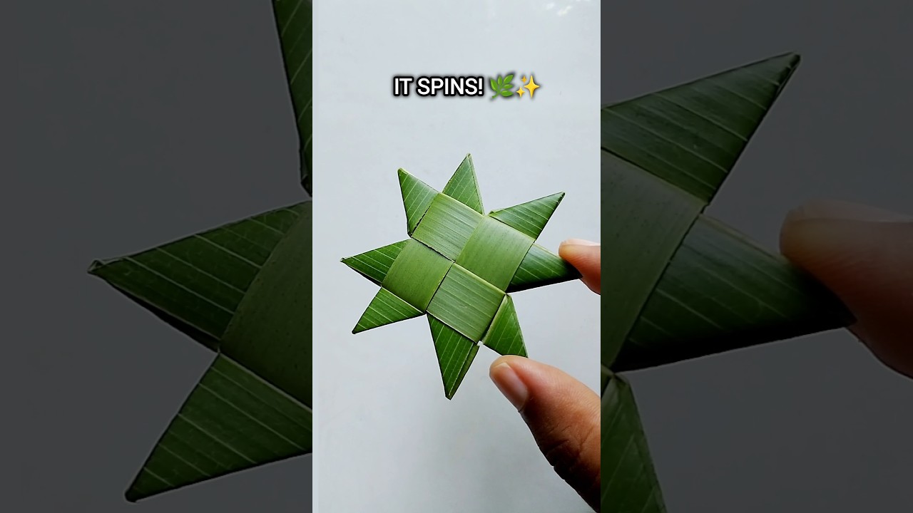 Spinning Star from Coconut Leaf 🌿✨ | Easy Craft #Shorts