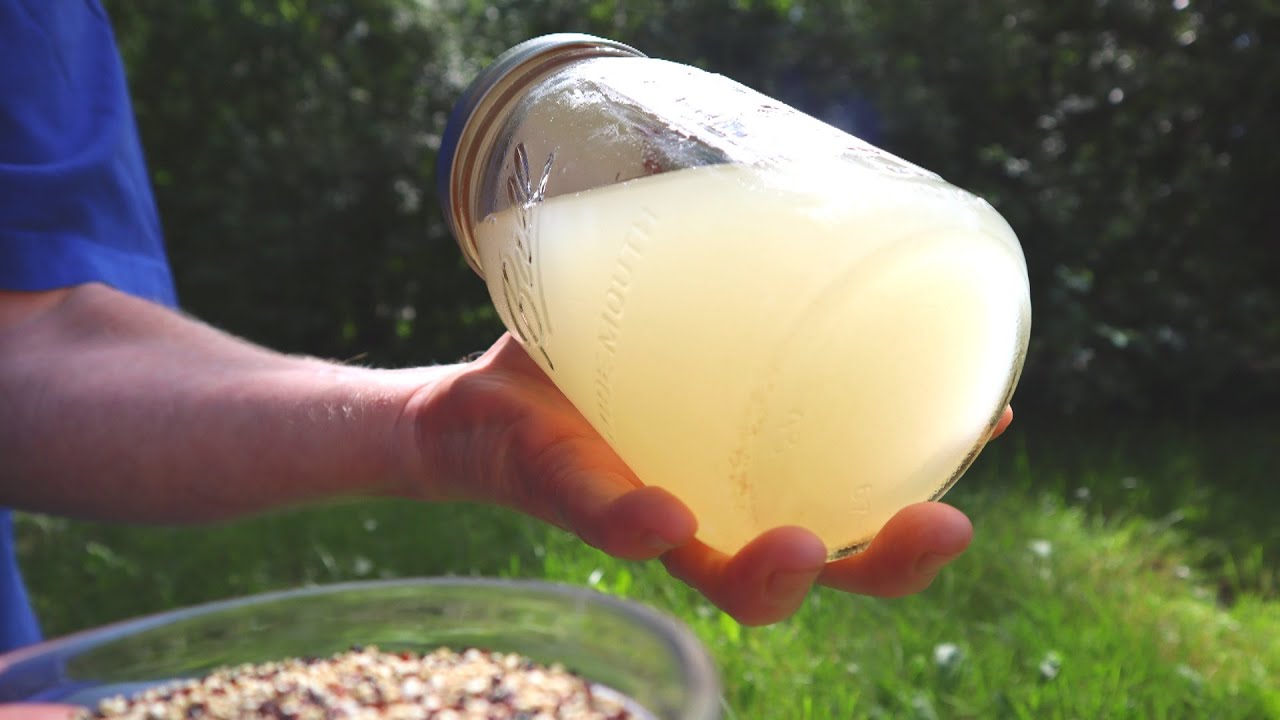 Quinoa Rejuvelac Recipe. for Vegan Cheese & Probiotic Beverages | The Veggie Nerd
