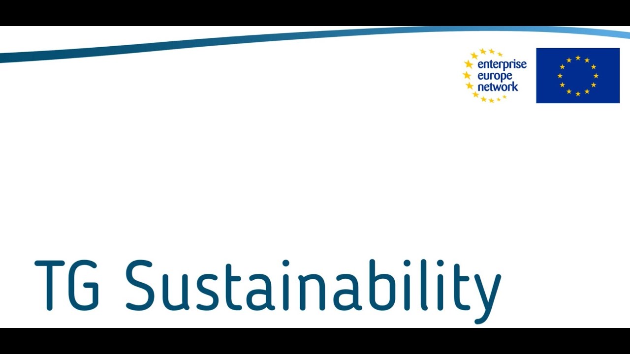 Thematic Group Sustainability presentation Video
